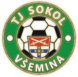 Všemina