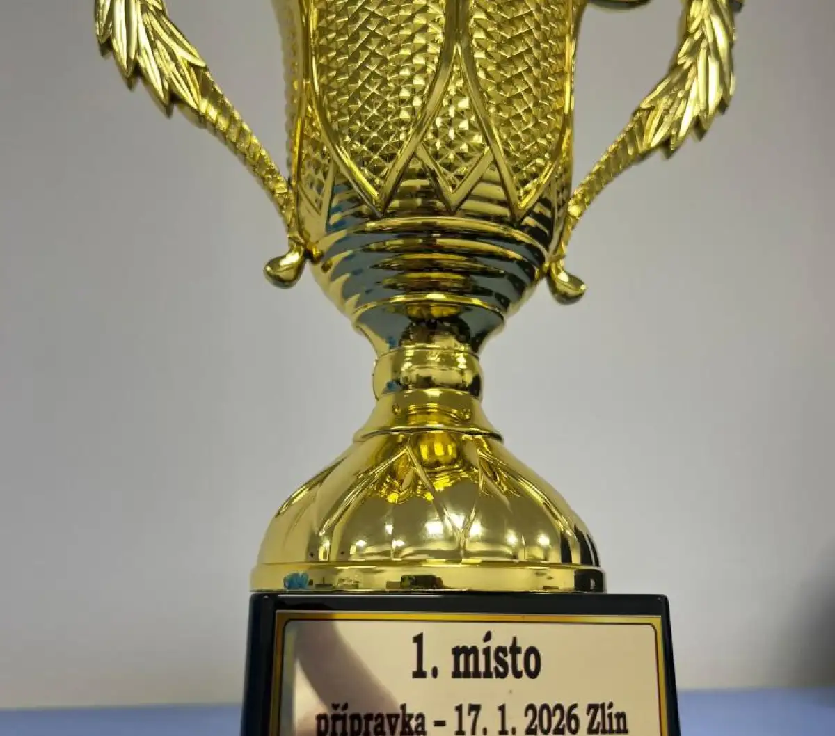 Přípravka získala 1.místo na turnaji OFS